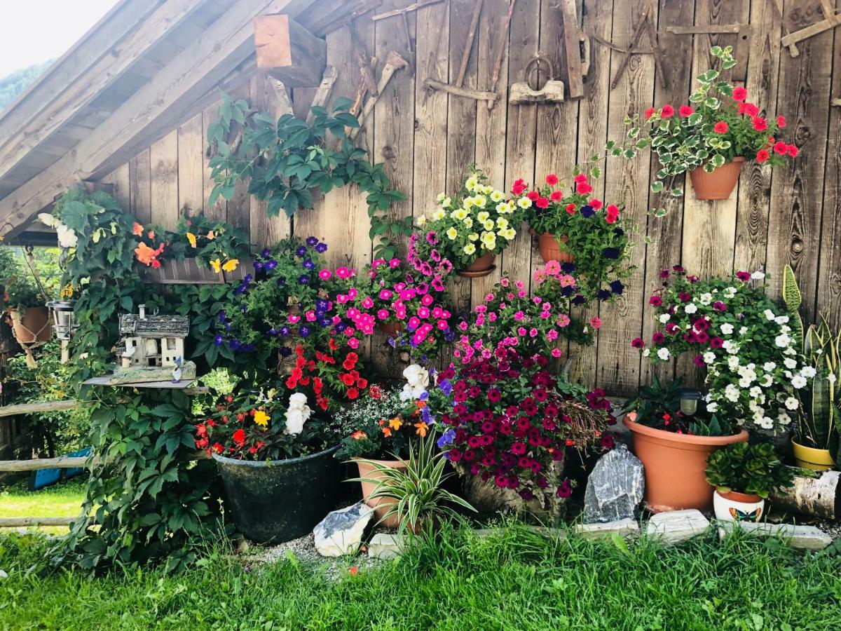 Flatscherhof San Lorenzo di Sebato Eksteriør billede